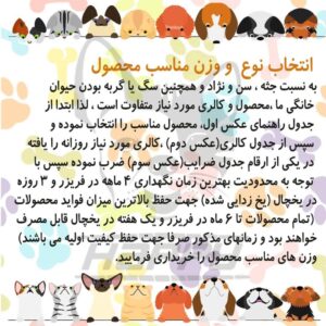 غذای ارگانیک سگ - Image 4