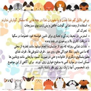 غذای ارگانیک سگ - Image 6