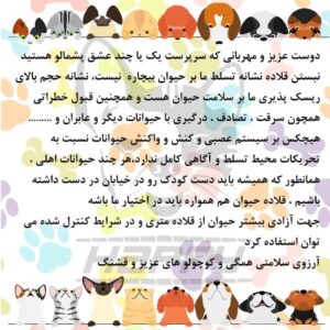غذای ارگانیک سگ - Image 10